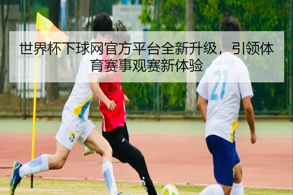 世界杯下球网官方平台全新升级，引领体育赛事观赛新体验